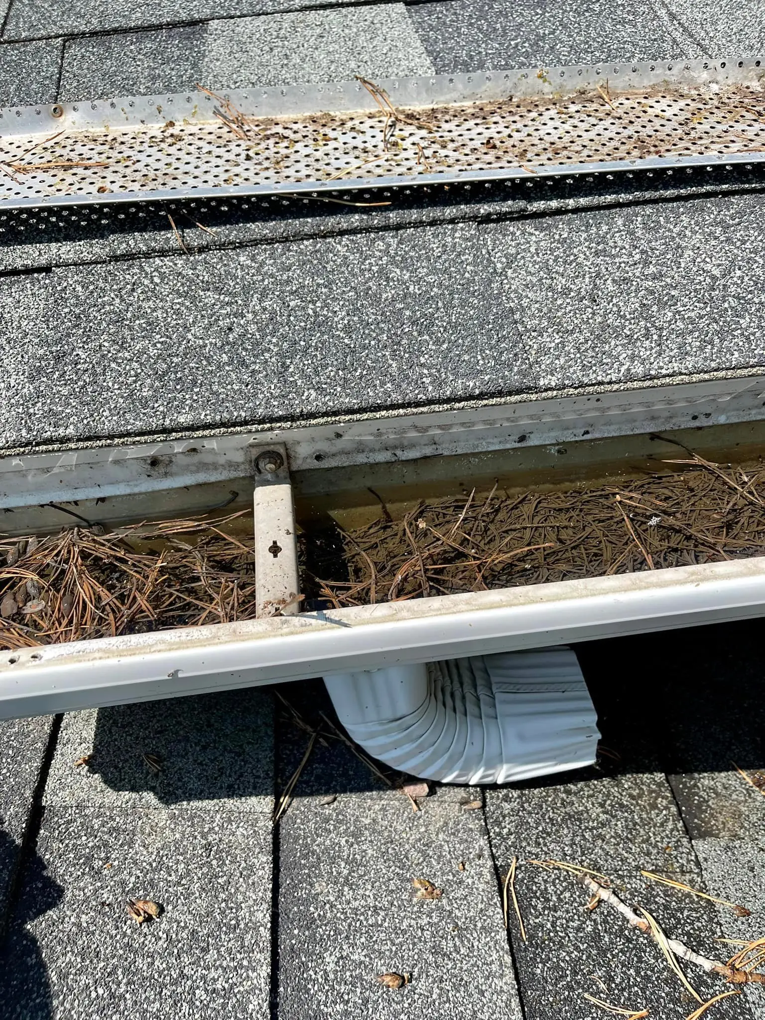 Gutter filled with fall leaves and debris in need of cleaning